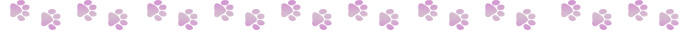 cat care catsitter